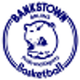 班克斯顿棕熊女篮logo