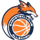BC奥什维尔logo