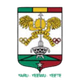 贾拉夫女篮logo