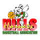 希尔斯黄蜂女篮logo