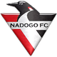 纳多戈FC U19