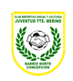 特尼恩特梅里诺logo