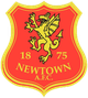 纽顿logo