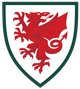 威尔士C队logo